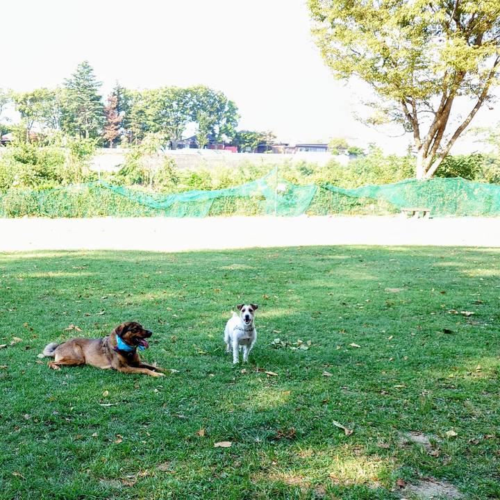 3131134b 0a9e 4313 8d26 8b8329710c9a 1756515069604