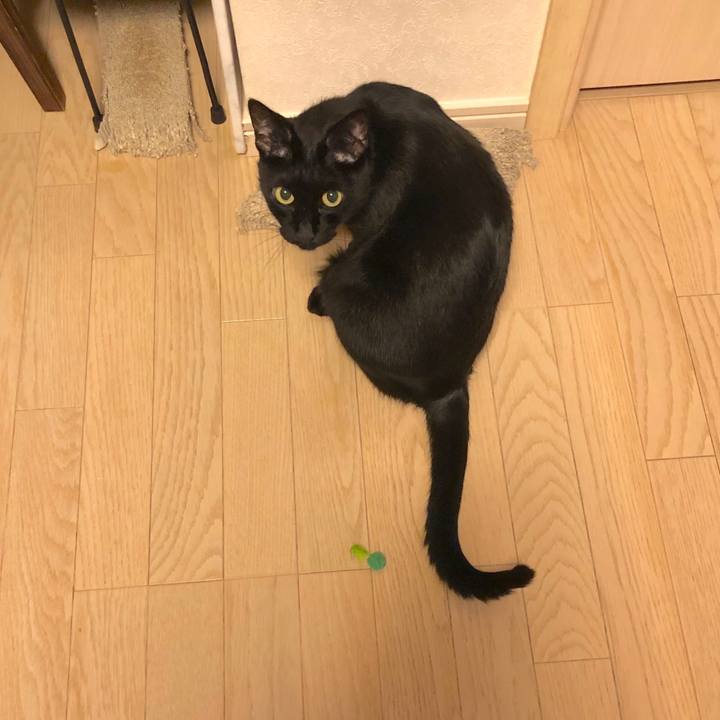 3131204f 8bfd 4fcd a1df cdb78499ab55 1572176465023