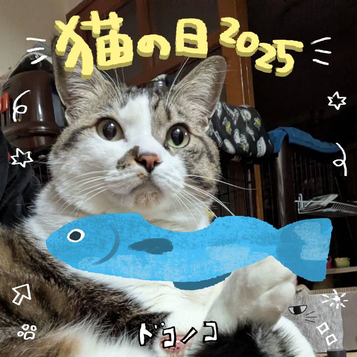 31312427 5838 456d 8cb5 0076df1c0018 1740236223809