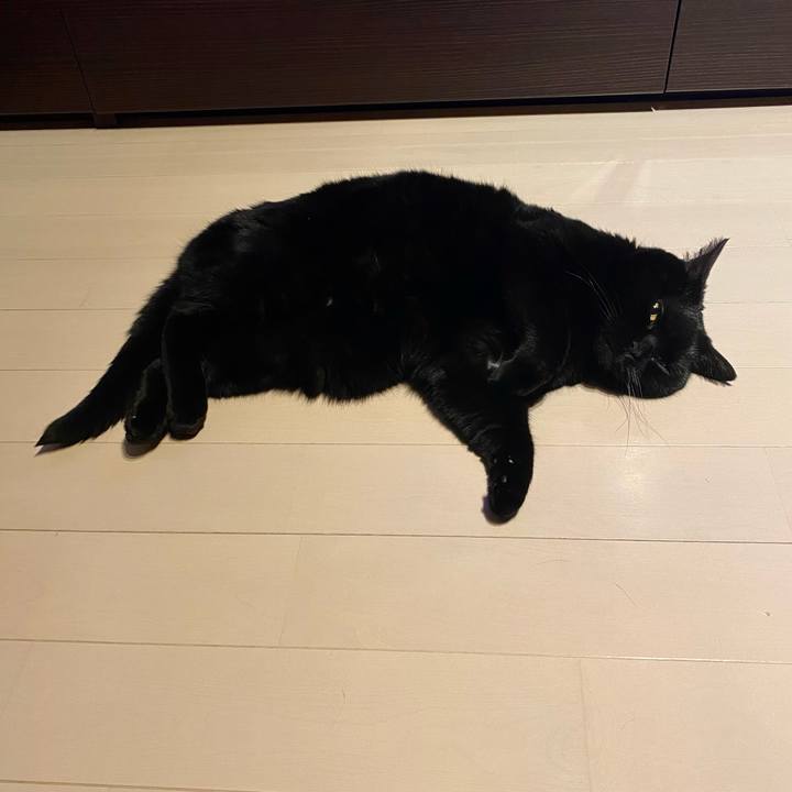 3131494a 886d 4043 8123 b8d0744dcaa1 1747398293374