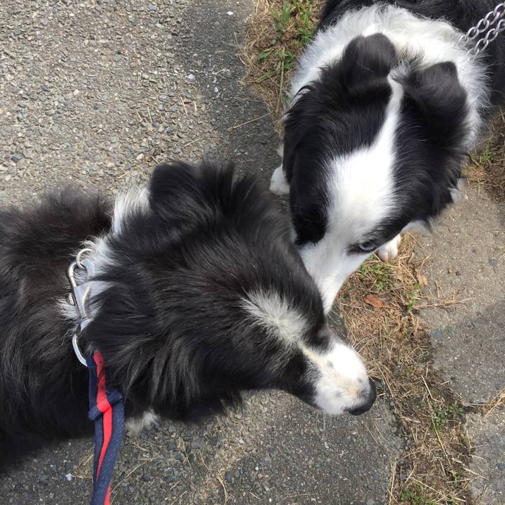 31319771 9660 4281 a5f2 ece97828b769 1572140567822