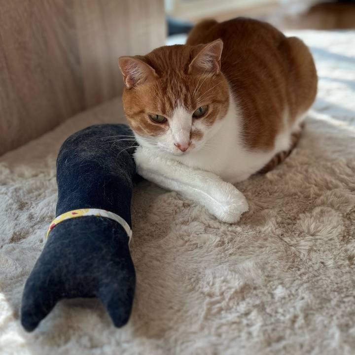 313197eb 17ae 4393 8503 17f7a7d5a250 1685567055583