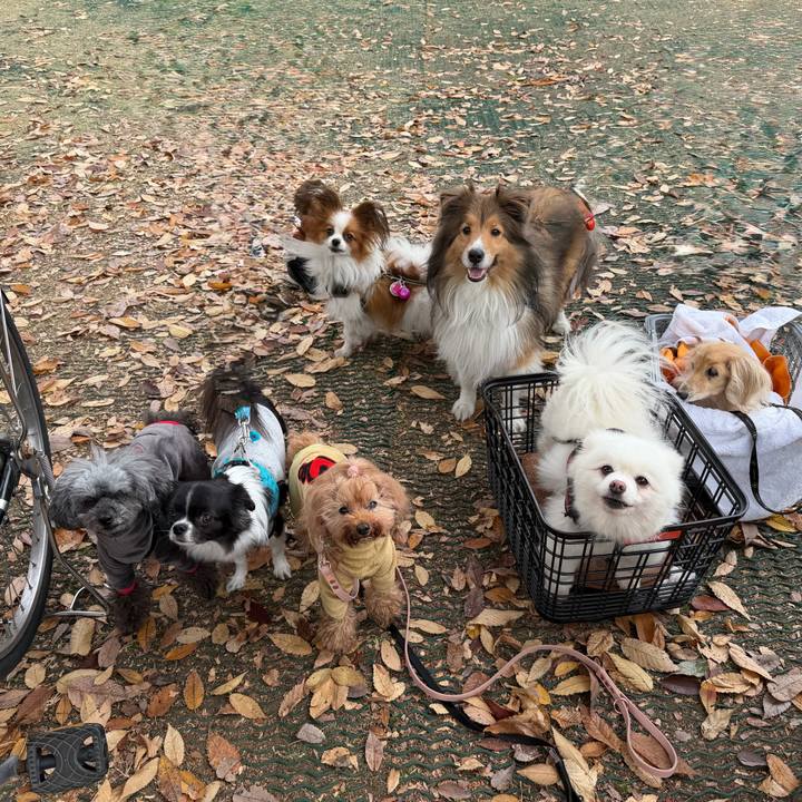 3131c475 80fa 47d1 a7f4 a8bd47ce957a 1764113875589