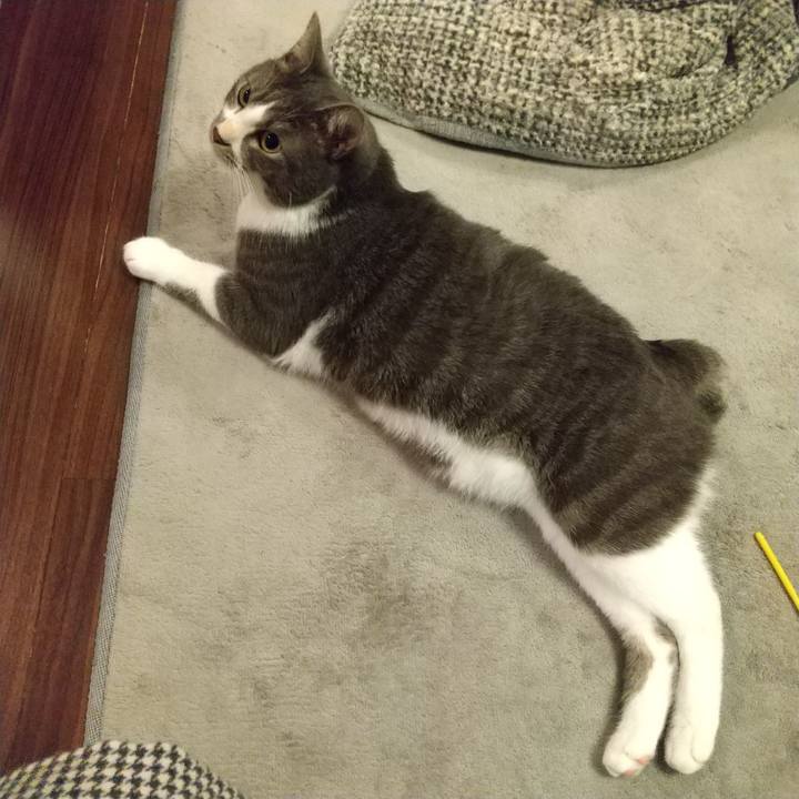 31323757 b942 4c0e 9631 bc79fb6f302e 1606254258392