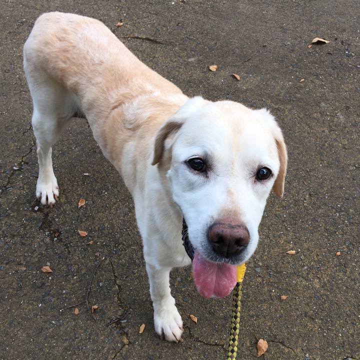 313293b5 4e11 4ae6 821b a44ba4ec561d 1535532957858