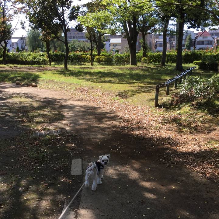 3132952e f672 4654 9d6a 09980f935e90 1538896590967