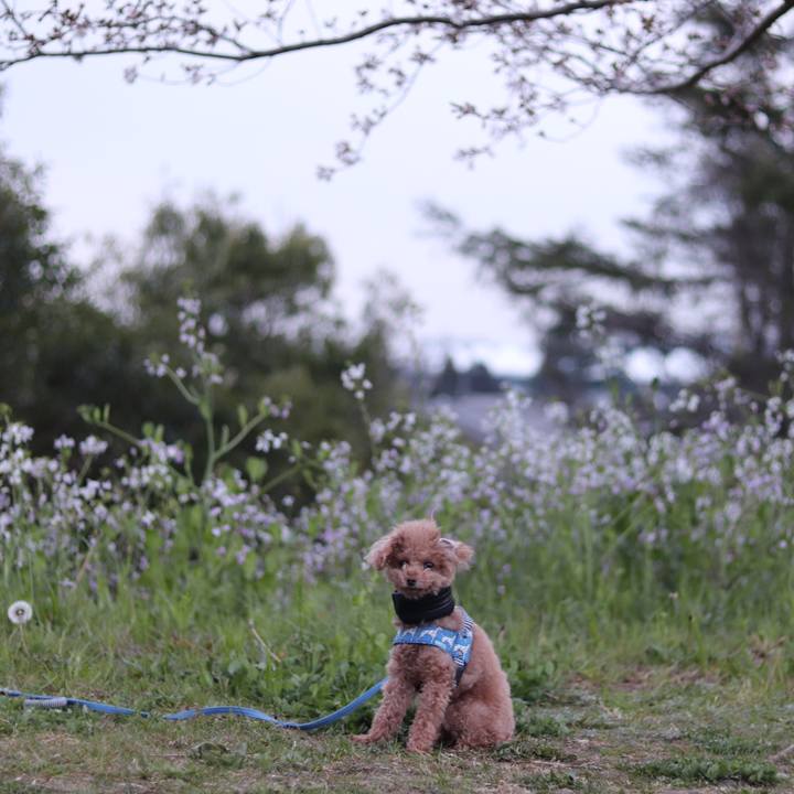 313329b3 d29d 468c bf3e 0627eae3f81c 1553552422367