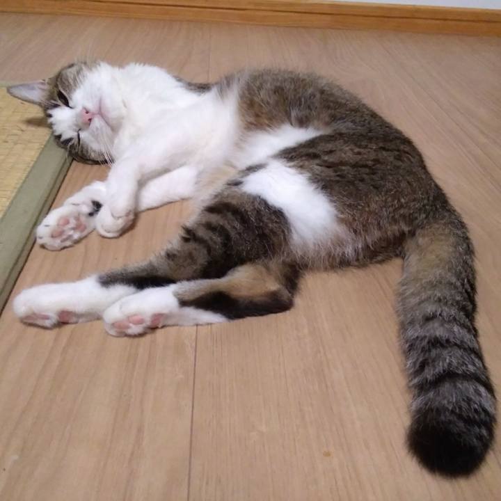 31332c35 e139 4529 91ac a78d104d0f90 1528173000003