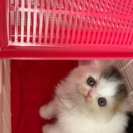 3133382f eb19 48a0 a9c2 d0a53f413baa 1574649183509