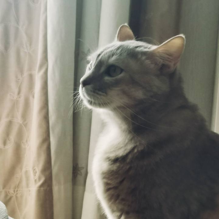 313379b4 76ff 4b30 aa22 18fbe35e63e4 1612064606994