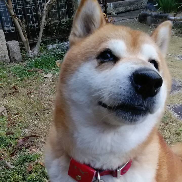 3133c7c3 8d78 4c26 8496 c87f9cdb4801 1710458552900