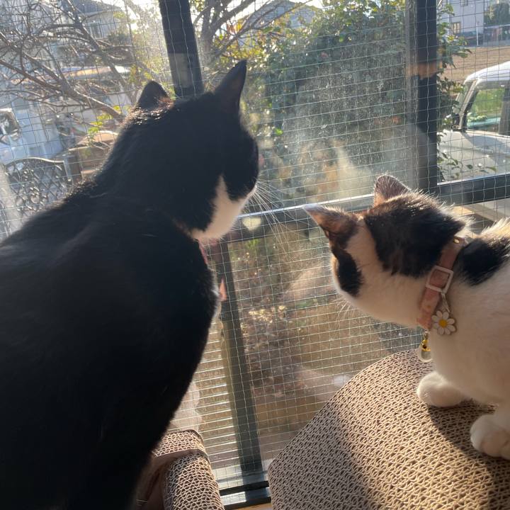 3133d3e3 5e89 47ac 80be a759914a5ba4 1672442699808