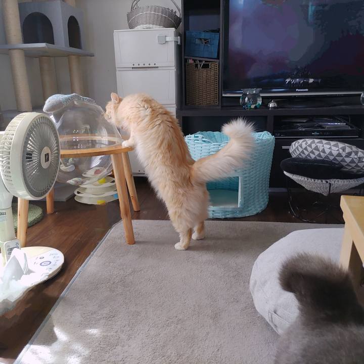 3133d785 df1f 41a1 9491 9b6bab91c766 1724575555566