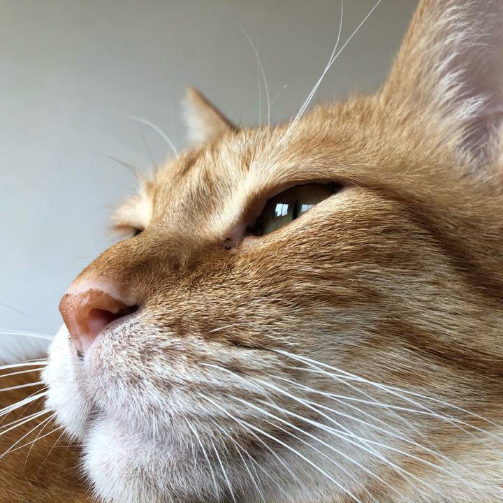 3133dc5d 0f88 4fa7 b32c 09f8ab6c7f87 1624063124511