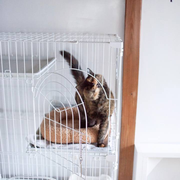 31341c65 ba83 46c6 b4d2 485fd16afacd 1578184994549