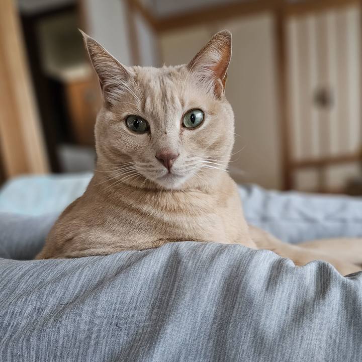 313438f3 825e 41dc bb5b b952f749e4ac 1762667883882