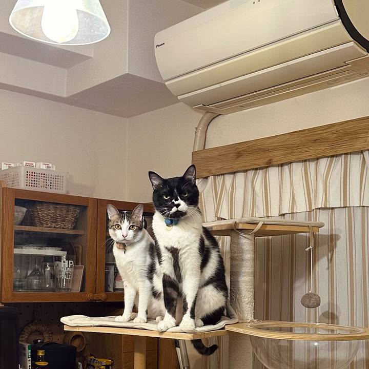 31343cab 114f 430b 8f5f a159380425b2 1775741621526