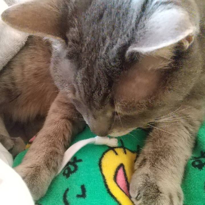 313458bb b490 4595 a047 9d58a93fa997 1673221378283