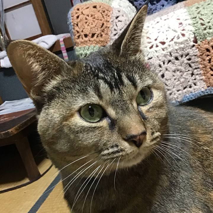 313479f1 48ec 422e 8375 1edc85489e2f 1702551282957