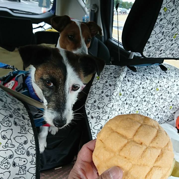 31347b3d 1ed5 4440 bbbf fb49e3df57bf 1556317486110