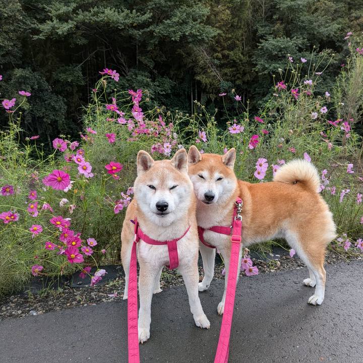 31349691 5719 44d5 ac1f f39cd85cf888 1761533088542