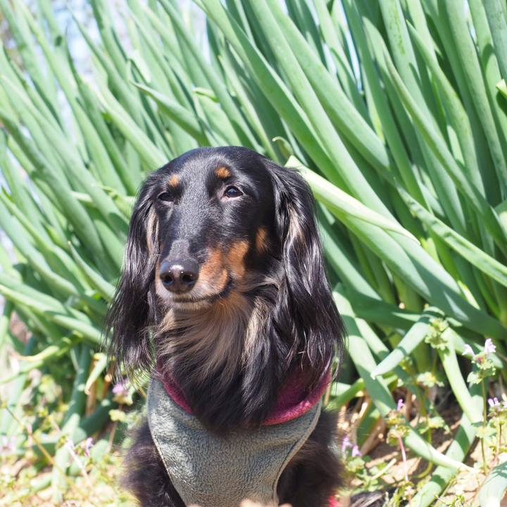 31352ce8 d1df 4f53 b13d 39ba3f72cf6e 1616561022759