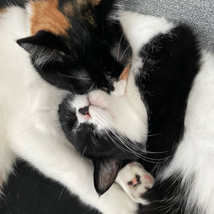 31353898 8d21 40a4 b34c 2f228dd6812f 1658548382085