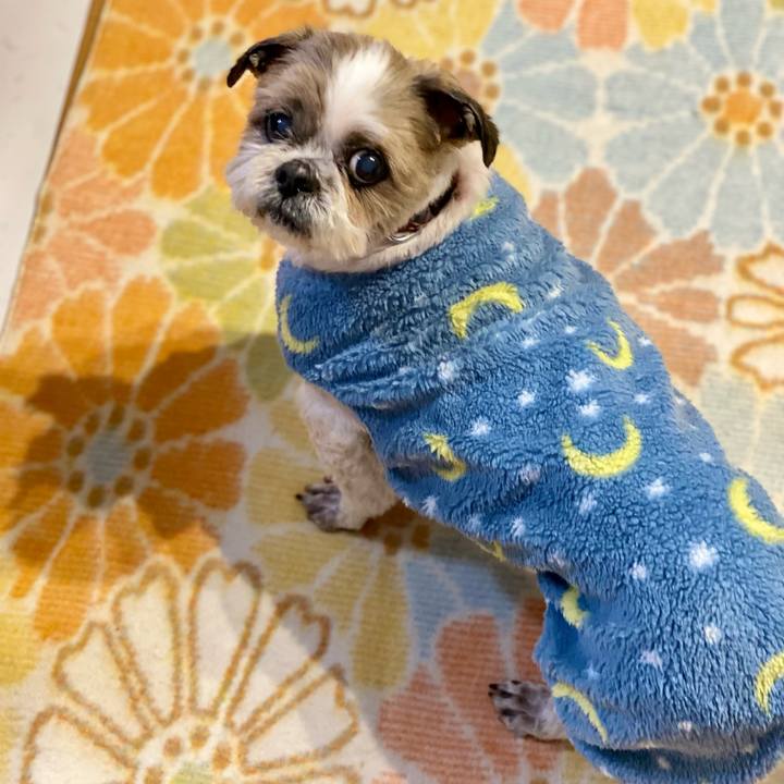 31356842 3f0f 47a3 a0bd 06862ae5bc71 1678008414742