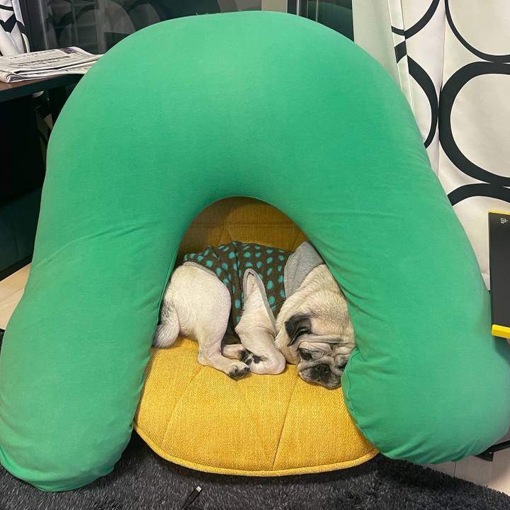 31364377 df43 4e95 b3f9 9988015da973 1767684311368