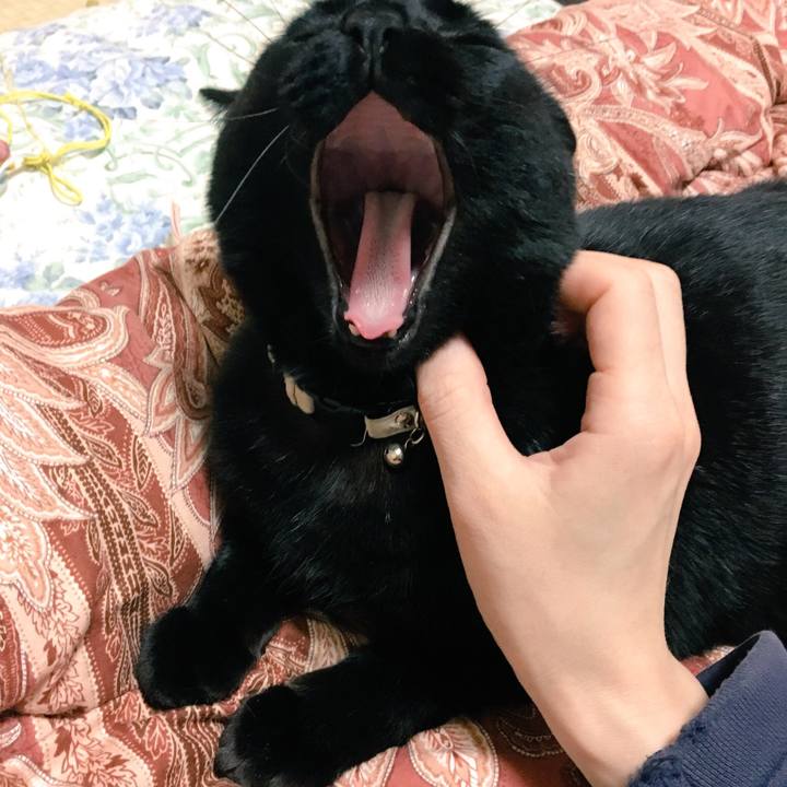 31367db7 0e1b 4545 a044 f28045017142 1523799205668