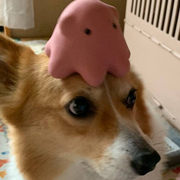 31369d3d 30a3 43a9 8e8d 767fd88c11ad 1621425376279