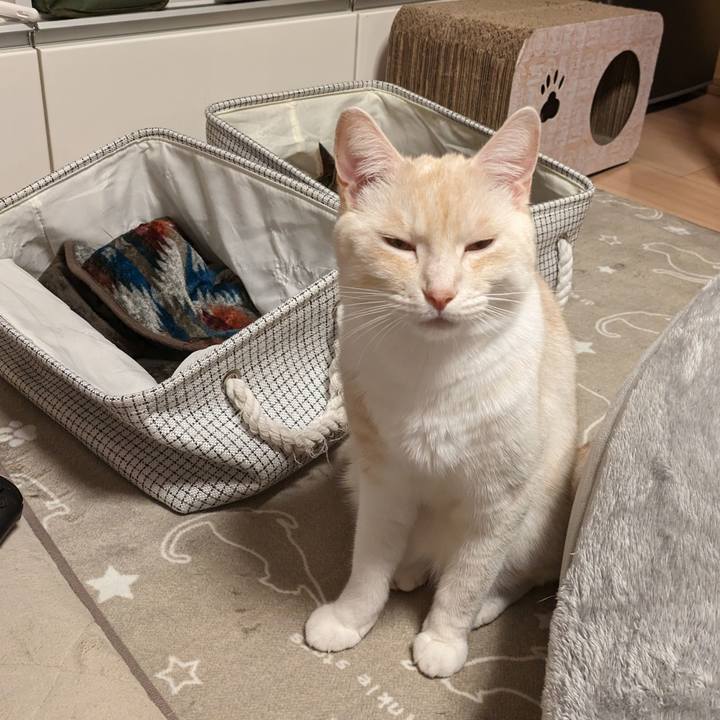 313700e8 d94e 483a b33d f1890c84fa33 1697461664113