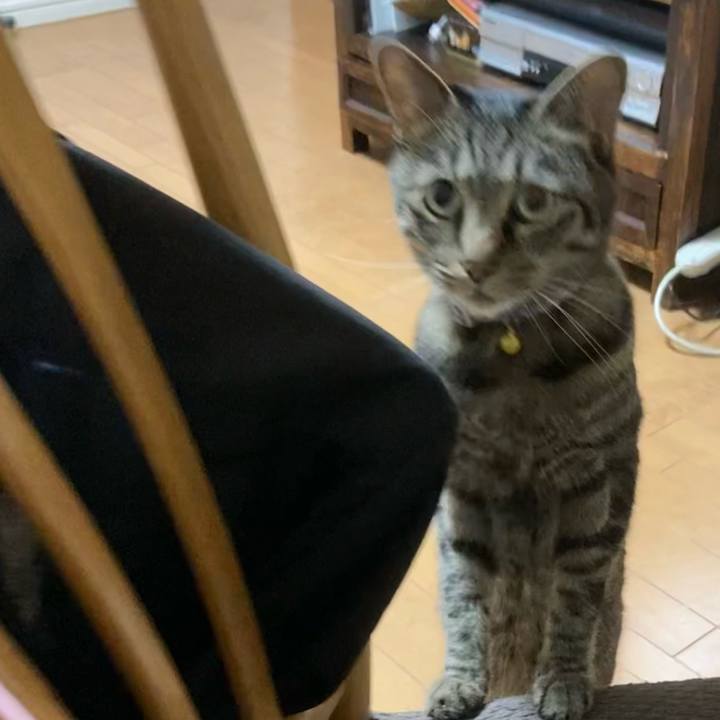 3137015a b981 47d9 b64c 13f5a8bd851c 1625534283822