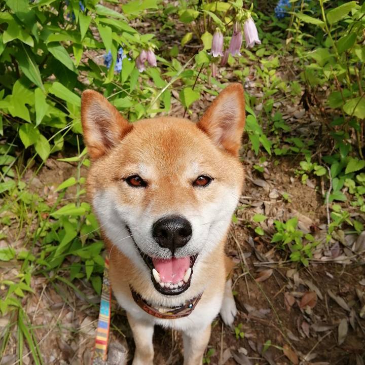 31371099 3a67 4637 a1c4 1f48f0bae1ce 1592437363995