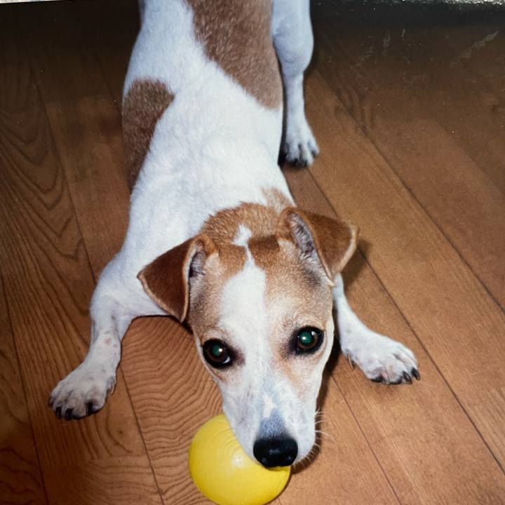 31372415 6d8b 4ca1 afce a33cb000f4a7 1660948861230