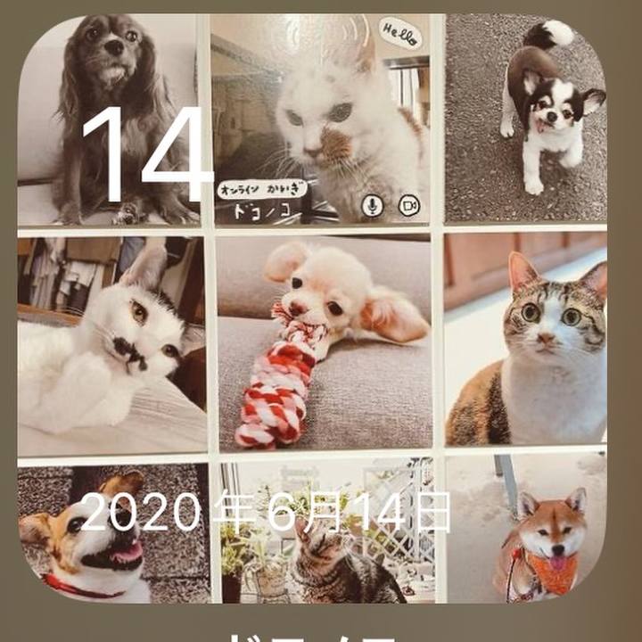 313741b6 cdcd 4219 a384 a469c0ce8136 1686705306088