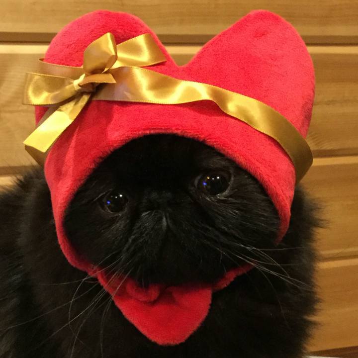 3137482d 3090 408b 83bd f0db645d841a 1518606027949