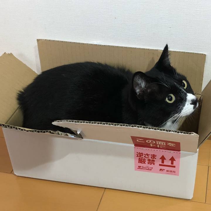 3137a4f6 8342 43d6 ac33 48b3f96c84c7 1637638978955