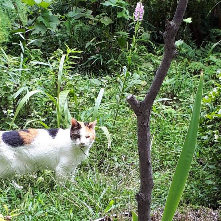 3137b22b 73ee 4104 919a a773303d1997 1629889516922