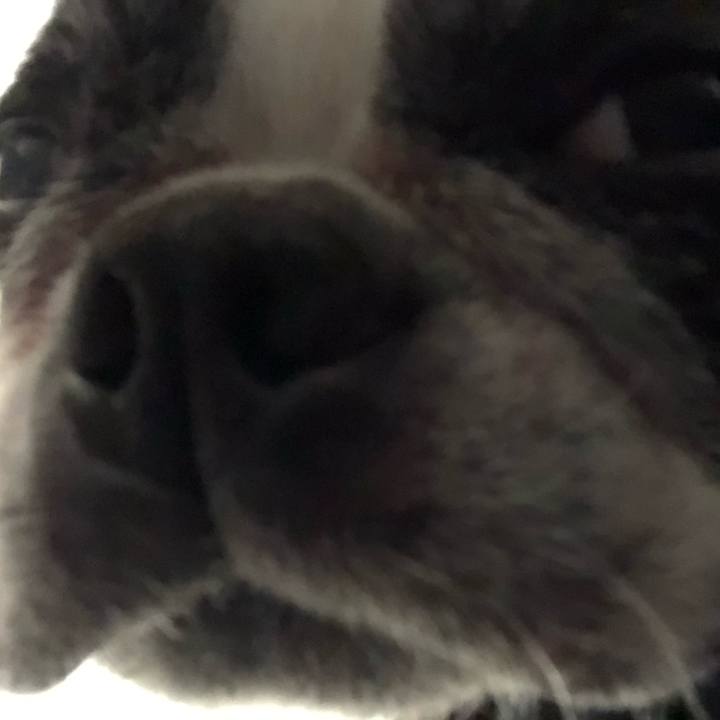 3137b5a5 e804 4112 b271 17c146de1e1f 1721177567949