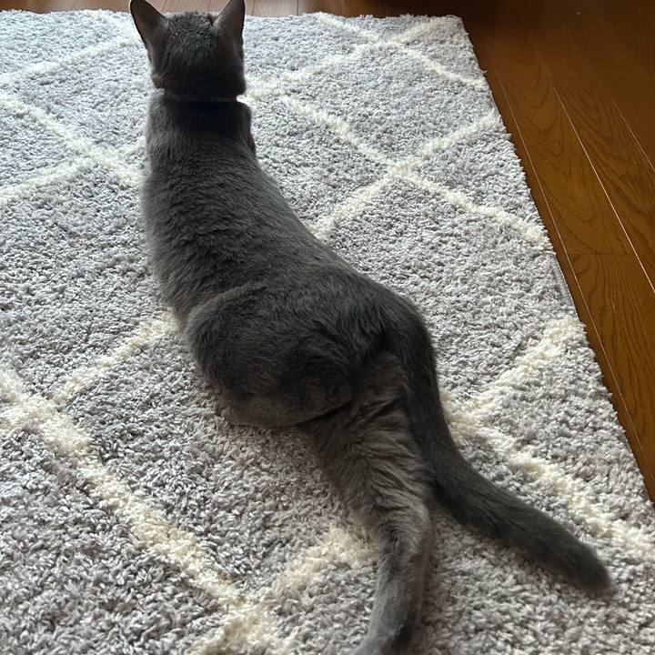 3137f9ee b701 4aa1 aaa7 8eff56e7efc0 1692654911710