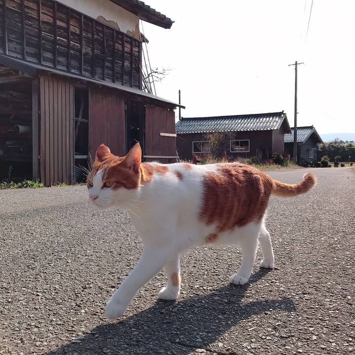 313823ea 2ac8 4989 aaac a4fb45348ff3 1541907122254