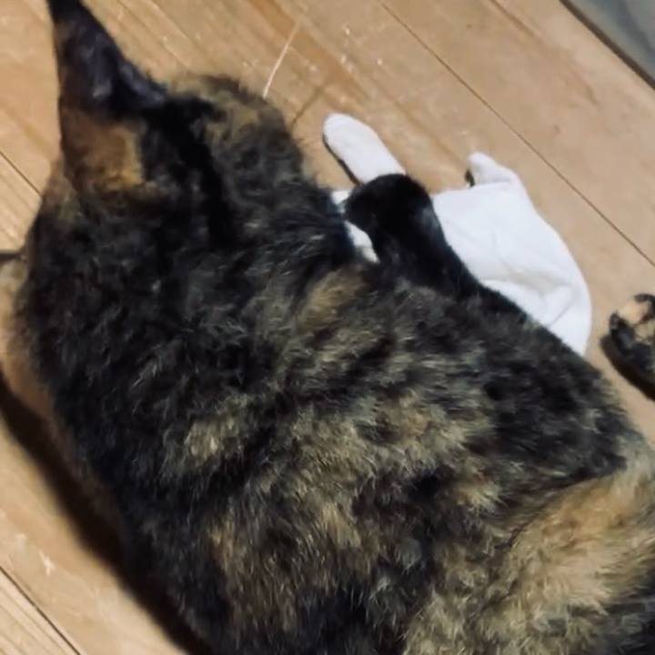 313837f7 93df 483b a0c1 58d26f02d0c5 1728293077275