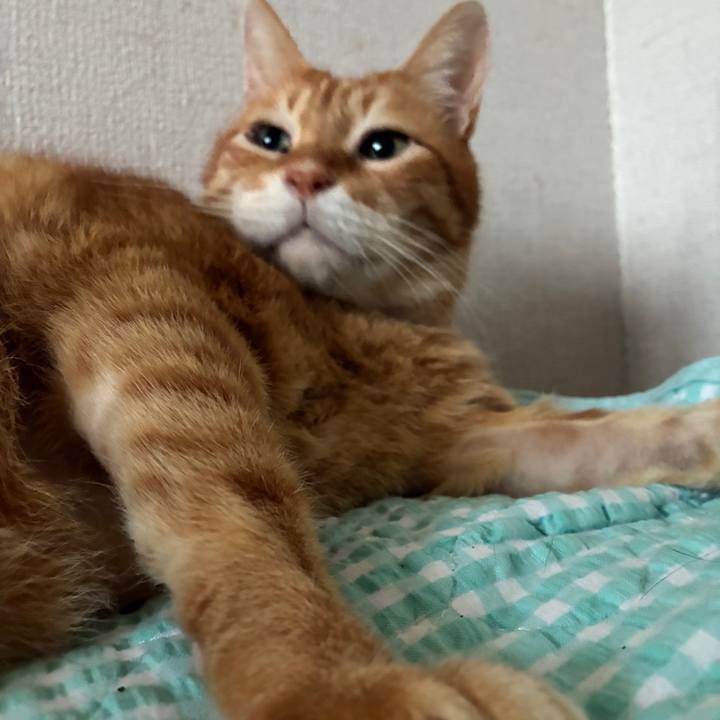 31389346 c42b 44be a213 f87359eaa452 1755550703521