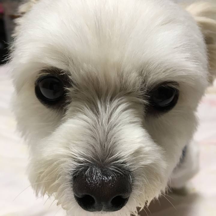 3138a48f d6fc 43c4 be2d b6ba0fc1f723 1540558319084