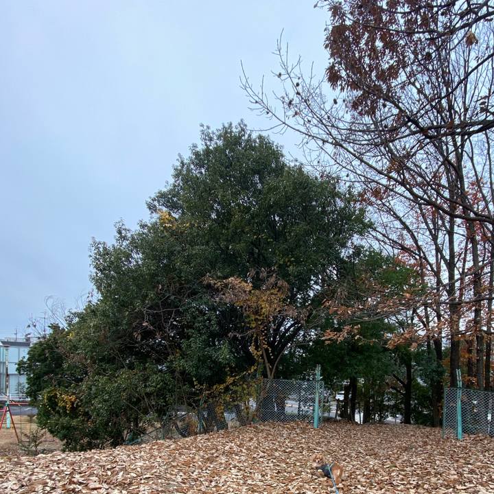 3138ce06 34c7 4536 8399 dd78ed9a21bd 1576978937799