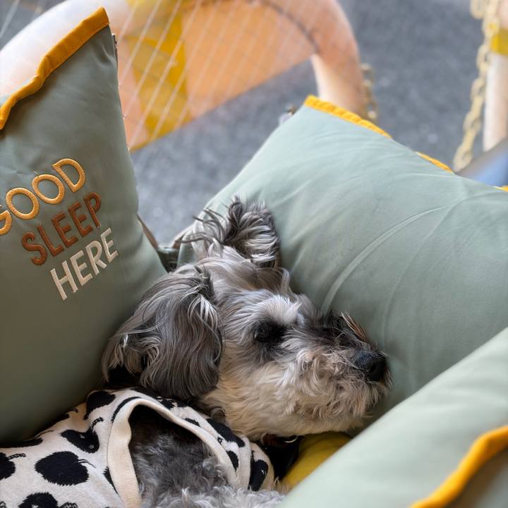 3139134a 1857 45b4 bdb9 2a7451d6c046 1771816569934