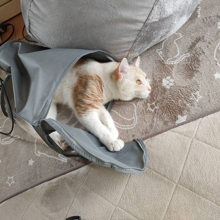 31398073 cc28 4b12 b0eb 121b75992610 1674361242799