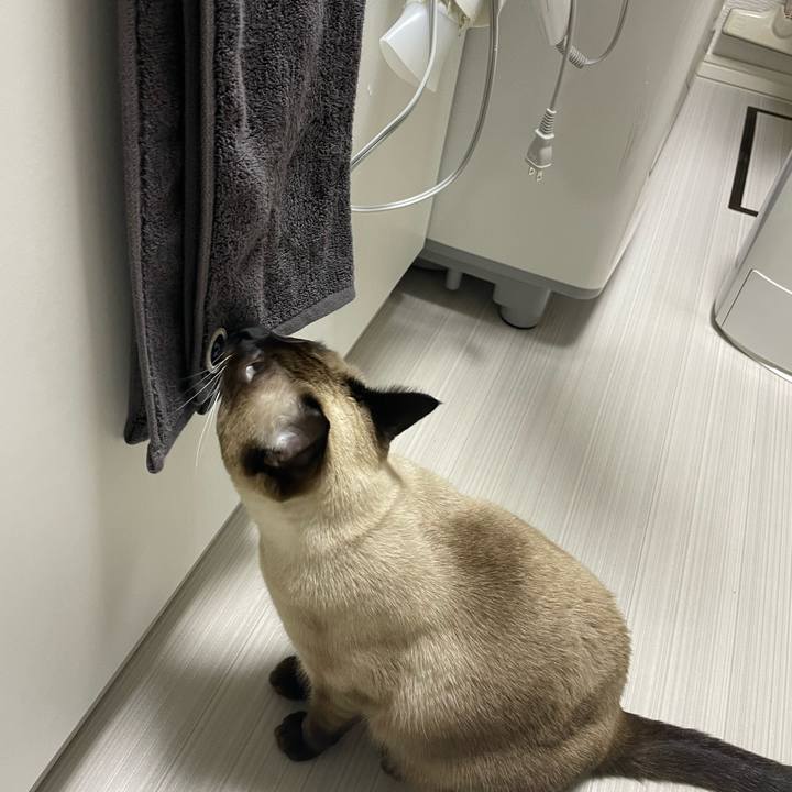 3139935f 2e78 45d2 810e 312720b819ff 1731707392906