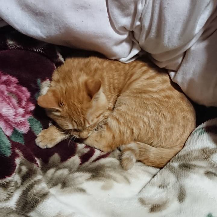 313996f8 6354 4baf 8931 28c5905c674f 1635078954222